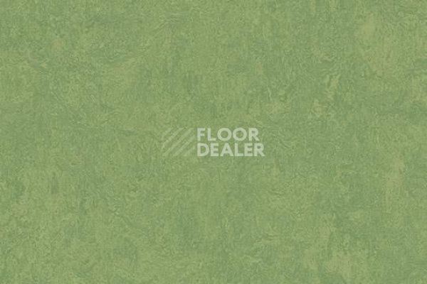 Линолеум Marmoleum Decibel on Order 326035 leaf фото 1 | FLOORDEALER